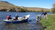 Imagen de Video: guías de pesca y guardafaunas limpiaron el río Chimehuin