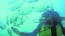 Imagen de Finde largo de aventura en la costa: avistajes, kayak, buceo, pesca y la ruta escénica