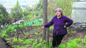 El “ecobarrio”, la toma verde de El Bolsón