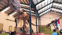 Imagen de Neuquén exhibe una variedad única de fósiles de dinosaurios