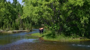 Así continúa la búsqueda del hombre que desapareció en el río en Plottier