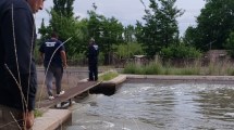 Imagen de Continúa en Guerrico la  búsqueda de un hombre que cayó al canal grande en Allen