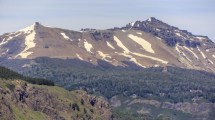 Imagen de La nueva ley de Bosques habilitará loteos en nueve áreas de montaña de Neuquén