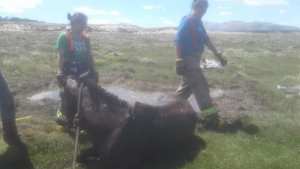 Rescataron un caballo que se había caído a un pozo de agua