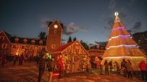 Imagen de Hoy se enciende el Árbol de Navidad de Bariloche con orquesta y rock en el Centro Cívico