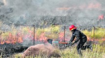 Imagen de Hay riesgos de incendios de vegetación en el Este de Río Negro