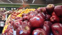 Imagen de Bajos stocks de fruta en Europa y EE.UU. favorecen a las exportaciones del Valle