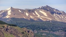 Imagen de Fracasó otro intento de hacerle trampa a la ley de Bosques