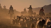 Imagen de Sale del horno un libro sobre los aromas, sabores y saberes del norte neuquino