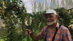 Por qué este artista plástico se dedica a producir frutas finas en Regina