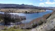 Imagen de Un hombre murió al caer de una embarcación en el río Limay