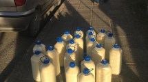 Imagen de Decomisaron 1.500 litros de leche cruda que se iba a comercializar en Neuquén