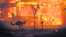 Imagen de Lecciones que deja una Australia  en llamas