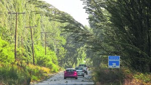 Un viento feroz causó trastornos en toda la región