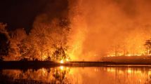 Imagen de 500 millones de animales muertos: Australia en alerta máxima por el fuego