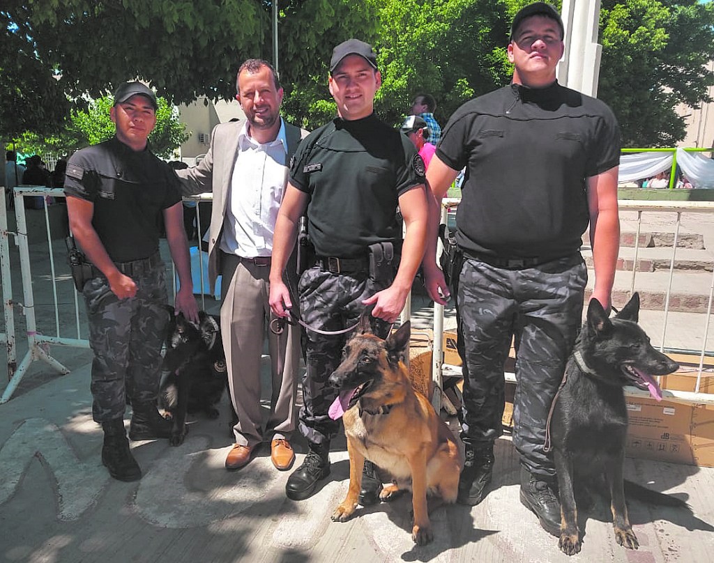 Maxi, el mecánico que ayuda a los perritos a volver a caminar – Diario Río  Negro