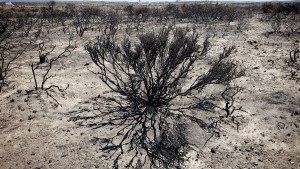 Siguen las labores de control en Las Grutas tras los incendios