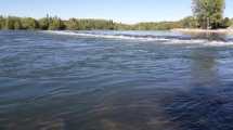 Imagen de El río Limay duplicará su caudal hacia el Valle este viernes