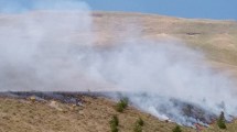 Imagen de Controlaron 13 focos de incendio en la cordillera de Neuquén