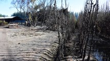 Imagen de Importante incendio consumió varias hectáreas en la zona de Guerrico