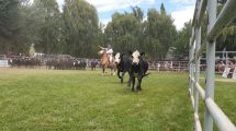 Imagen de Gutiérrez cerró la Expo Rural de Junín con anuncios para el sector