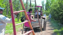 Imagen de Detectaron el ingreso de más de 15 mil trabajadores golondrinas en el Alto Valle y Valle Medio