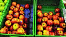 Imagen de Mercado interno de peras y manzanas: más ventas y menos retornos