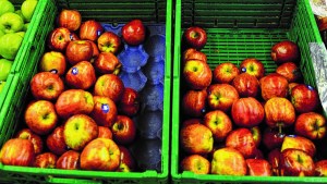 Mercado interno de peras y manzanas: más ventas y menos retornos