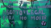 Imagen de Fernández aseguró que está listo el proyecto del aborto y que lo mandará al Congreso