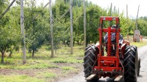 Imagen de Ya no se podrán construir casas en las chacras de El Chañar