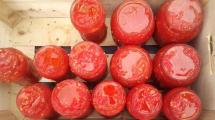 Imagen de Qué tenés que saber para preparar la más rica salsa de tomates casera