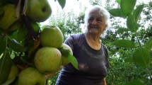 Imagen de Con 84 años, Rosa es la productora de manzanas más antigua de Roca