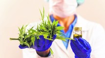 Imagen de El Gobierno promulgó la ley de cannabis medicinal y cáñamo industrial