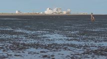 Imagen de San Antonio Oeste: Rescataron a una pareja que estuvo 4 horas en el mar tras el naufragio de su velero