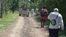 Imagen de Coronavirus: 6.000 obreros golondrina no saben cuándo podrán volver a sus casas