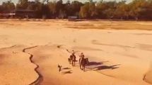 Imagen de Parece un desierto, es el cruce a caballo de un brazo del río Paraná por la bajante histórica