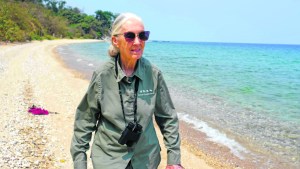 Jane Goodall: «temo que todo sea como siempre, ojalá emerjamos más sabios»