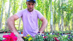 ¿Te gusta la jardinería? Mirá lo que se puede hacer en el jardín en esta época