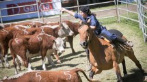 Imagen de Rematan por internet más de 1.800 vacas de Neuquén