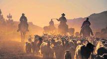 Imagen de Cinco razones de por qué cuesta vivir en el campo pero vale la pena intentarlo