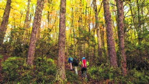 Hacia un turismo sustentable y muy disímil al acostumbrado