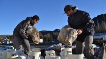 Imagen de En medio del aislamiento la Región Sur se prepara para el invierno