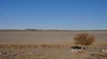 Imagen de Volvió a desaparecer: la laguna Carrilaufquen Chica se secó