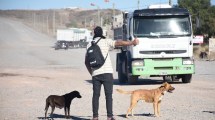 Imagen de Sin colectivos de Neuquén en Las Perlas por los contagios de coronavirus