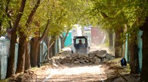 Imagen de Hubo un «malentendido» con los árboles de la Diagonal 9 de Julio en Neuquén