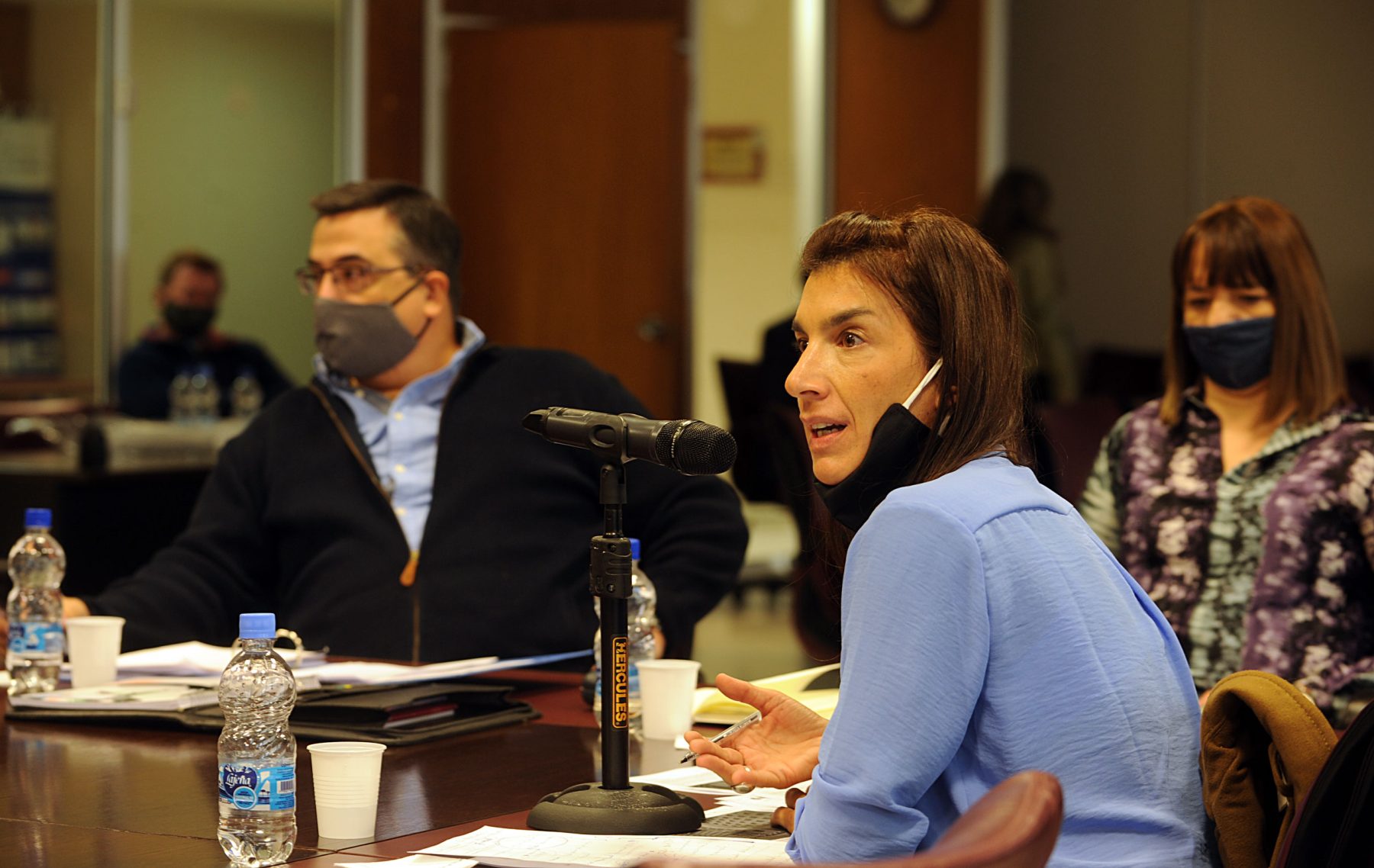 Celia Delgado, defensora ante el Tribunal Oral Federal de Roca. (Archivo)