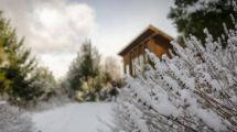 Imagen de Mirá la nevada que está cayendo en San Martín de los Andes