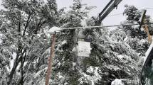 Imagen de Sigue el corte por nieve en Zapala y aún hay sectores de la Angostura sin luz