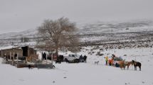 Imagen de Aislados de Jacobacci: campesinos sobreviven a la nieve y al cordón sanitario