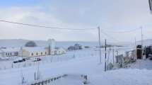 Imagen de Con registros de -6 grados, el invierno se adelantó en la Región Sur